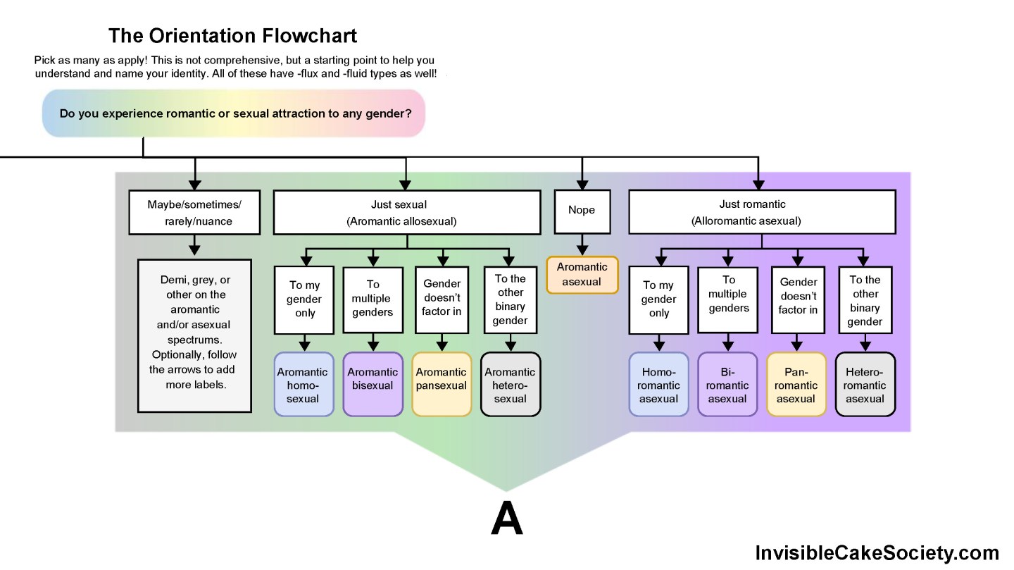 Invisible Identities The Queer Identities Flowchart – Invisible Cake Society