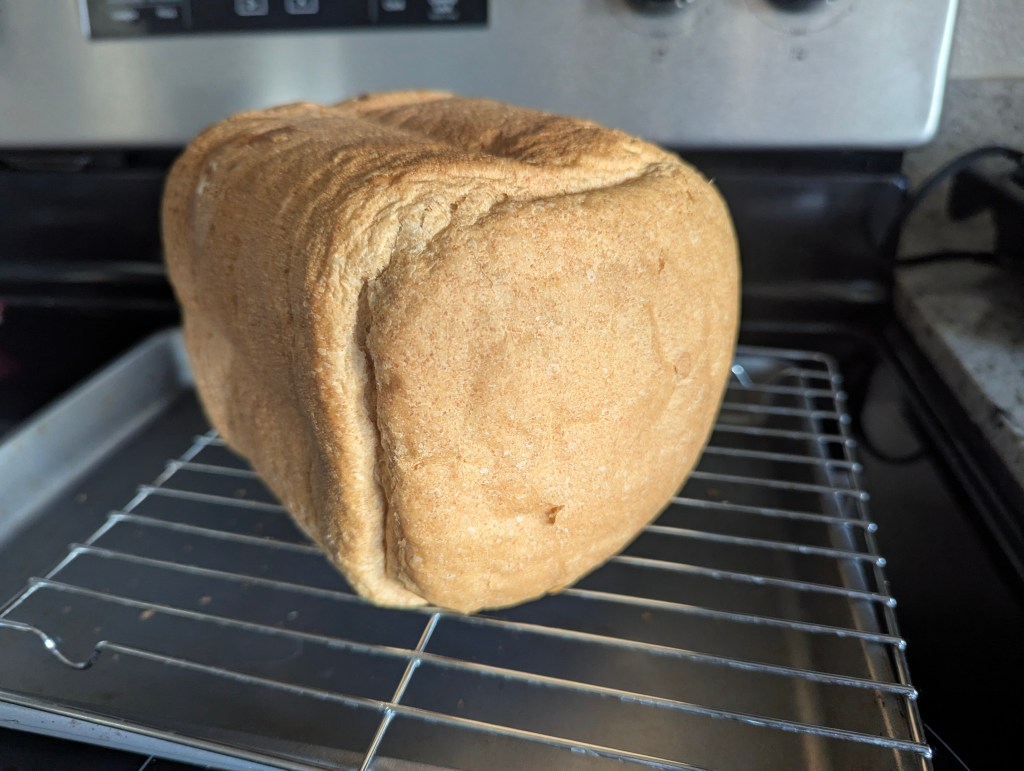 improvements in my breadmaking skills in nice fluffy loaves